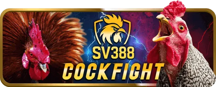 Ưu đãi độc quyền Q99
